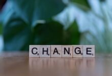 growth strategy for evolution