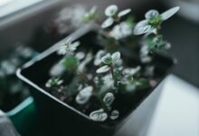 innovative problem solving techniques