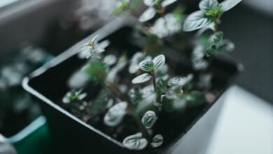 innovative problem solving techniques