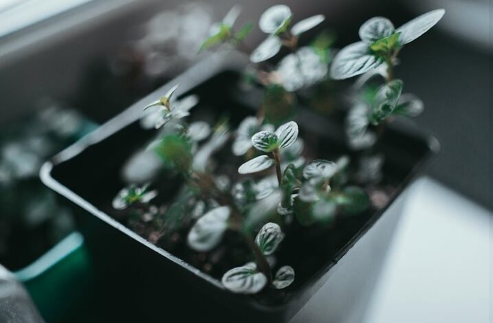 innovative problem solving techniques