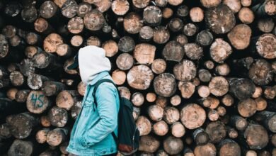 surukuku activity tracking insights