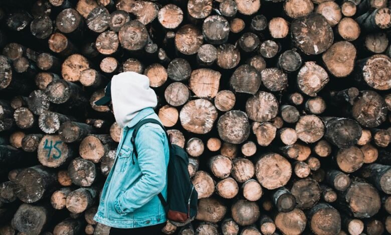 surukuku activity tracking insights